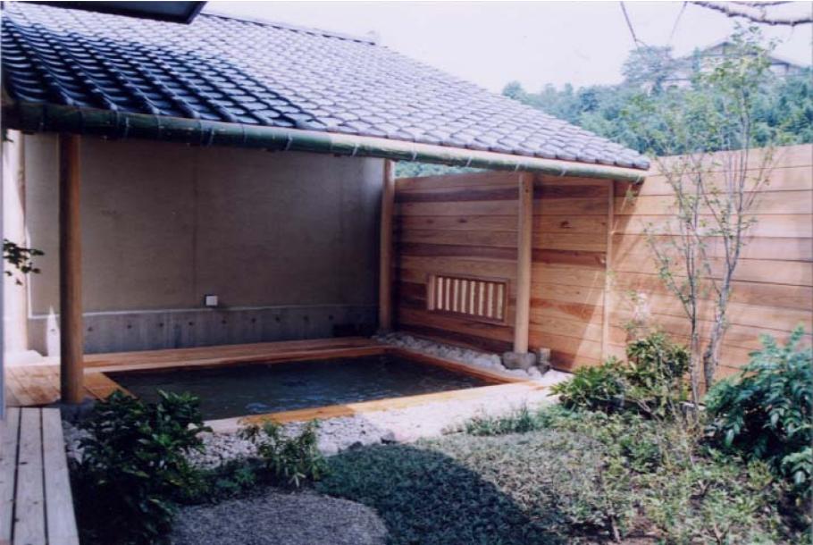 hayasiya1