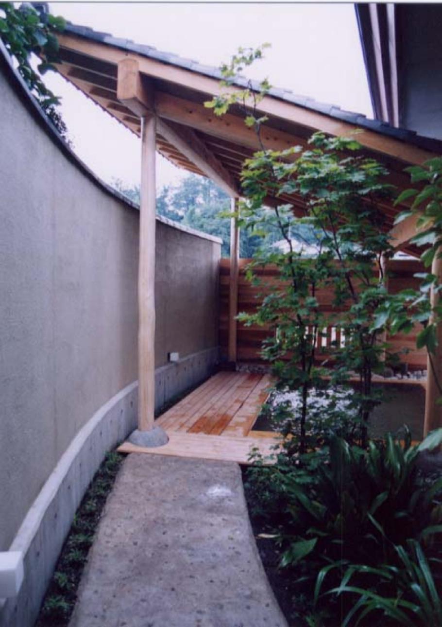 hayasiya2