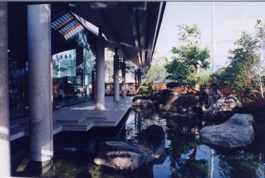 tikumano8