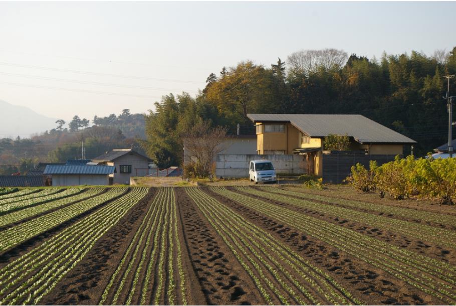 yama1448